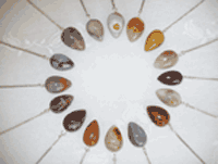 perfectpendulum