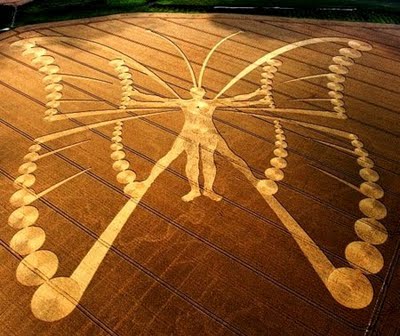 Crop Circle