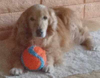 Duke with ball