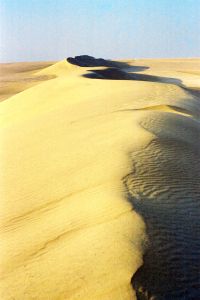 Sand Dune