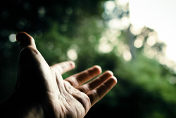 Hand Outstretched