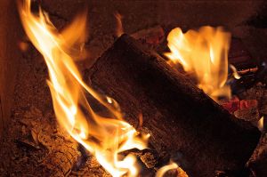 Log Fire
