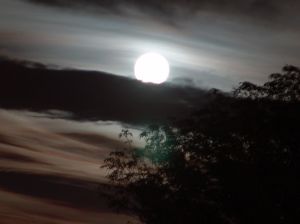 Moon