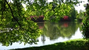 Sheffield Park Lake