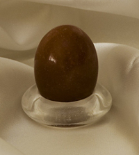 Chronic Shock Egg