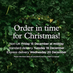 delivery-dates-xmas23 image