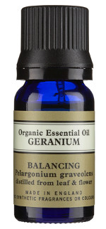 Geranium