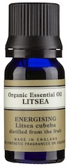 Litsea