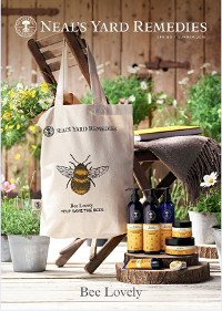NYRO Spring Brochures