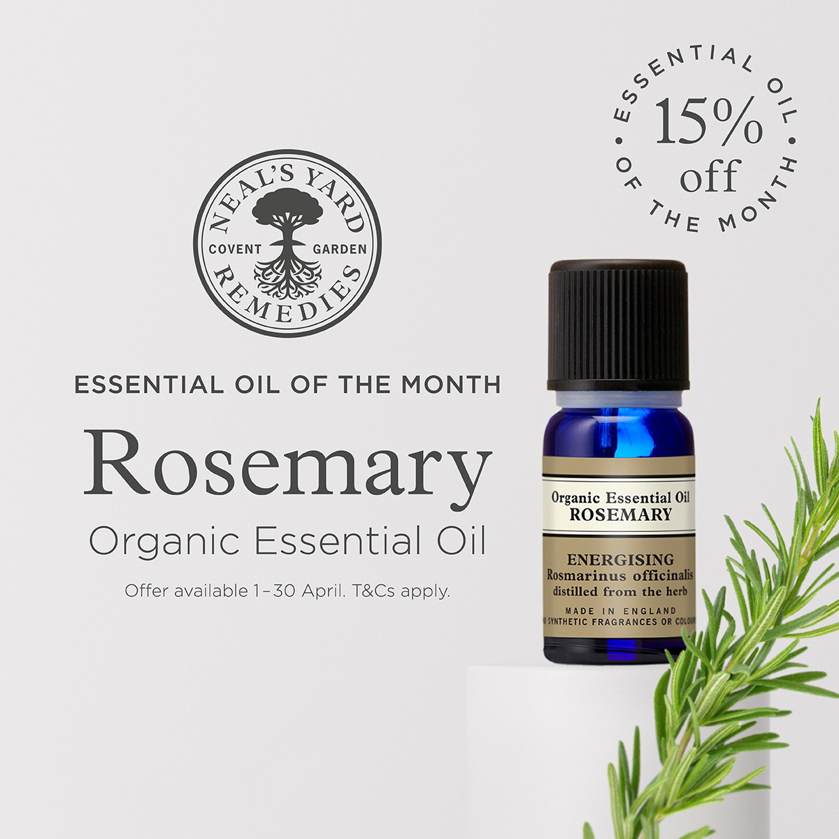 oil-rosemary-offer image