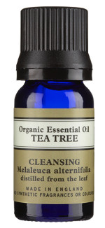 Tea Tree