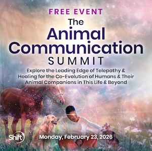 animal-communication-summit image