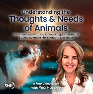 animals-thoughts-needs image