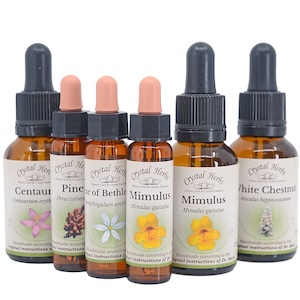 bach-remedies-group-ch image