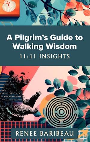 book-a-pilgrims-guide image