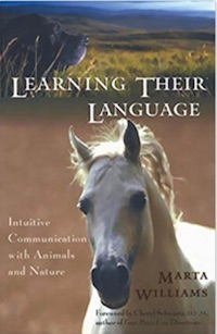 Animal Communication Book