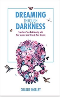 Book Dreaming through Darkness