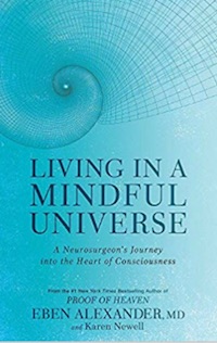 Living in Mindful Universe
