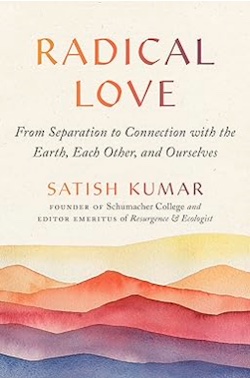 book-radical-love image
