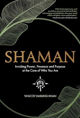 book-shaman image