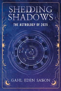 book-shedding-shadows image
