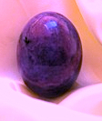 Chronic Shock Egg