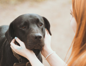 Dog with Lady