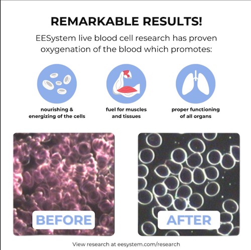 ee-live-blood-results image