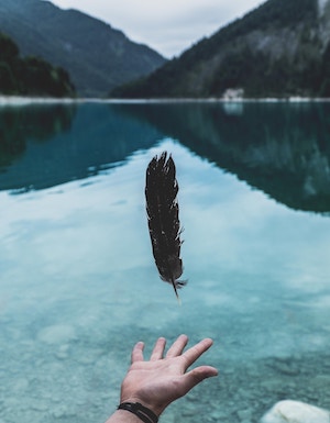 Feather Lake