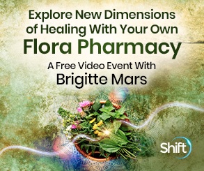flora-pharmacy image