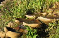 Flow Form in Chalice Well