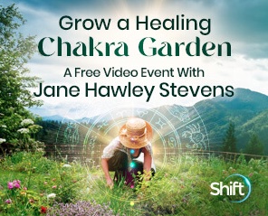 grow-chakra-garden image