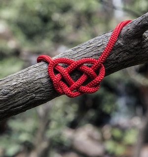 heart-red-cords image