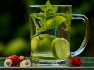 Lemon Balm