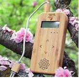 Bamboo Plant Music Unti