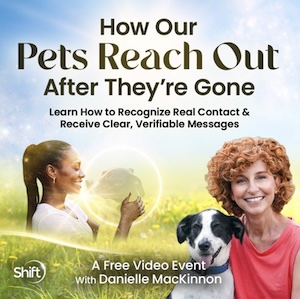 pets-reach-out image