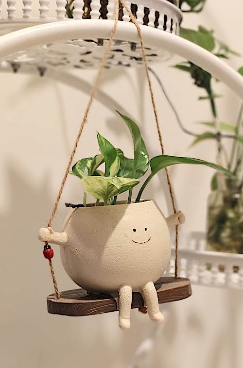 pot-on-swing-smile image
