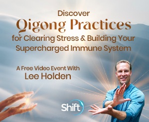 qigong-lee-holden-event image