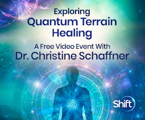 quantum-terrain image