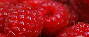 Raspberries