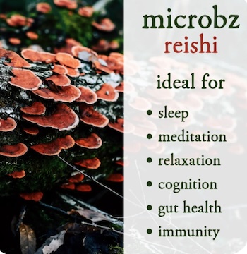 reishi-benefits image