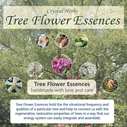 tree-flower-essence-set image