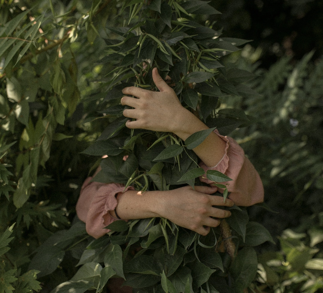 tree-hug-arms image