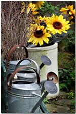 Watering Cans