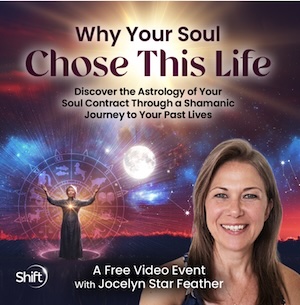why-soul-chose-this-life image
