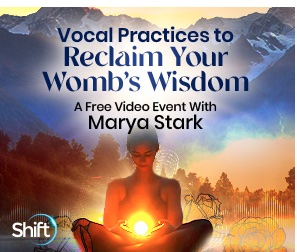 wombs-wisdom image